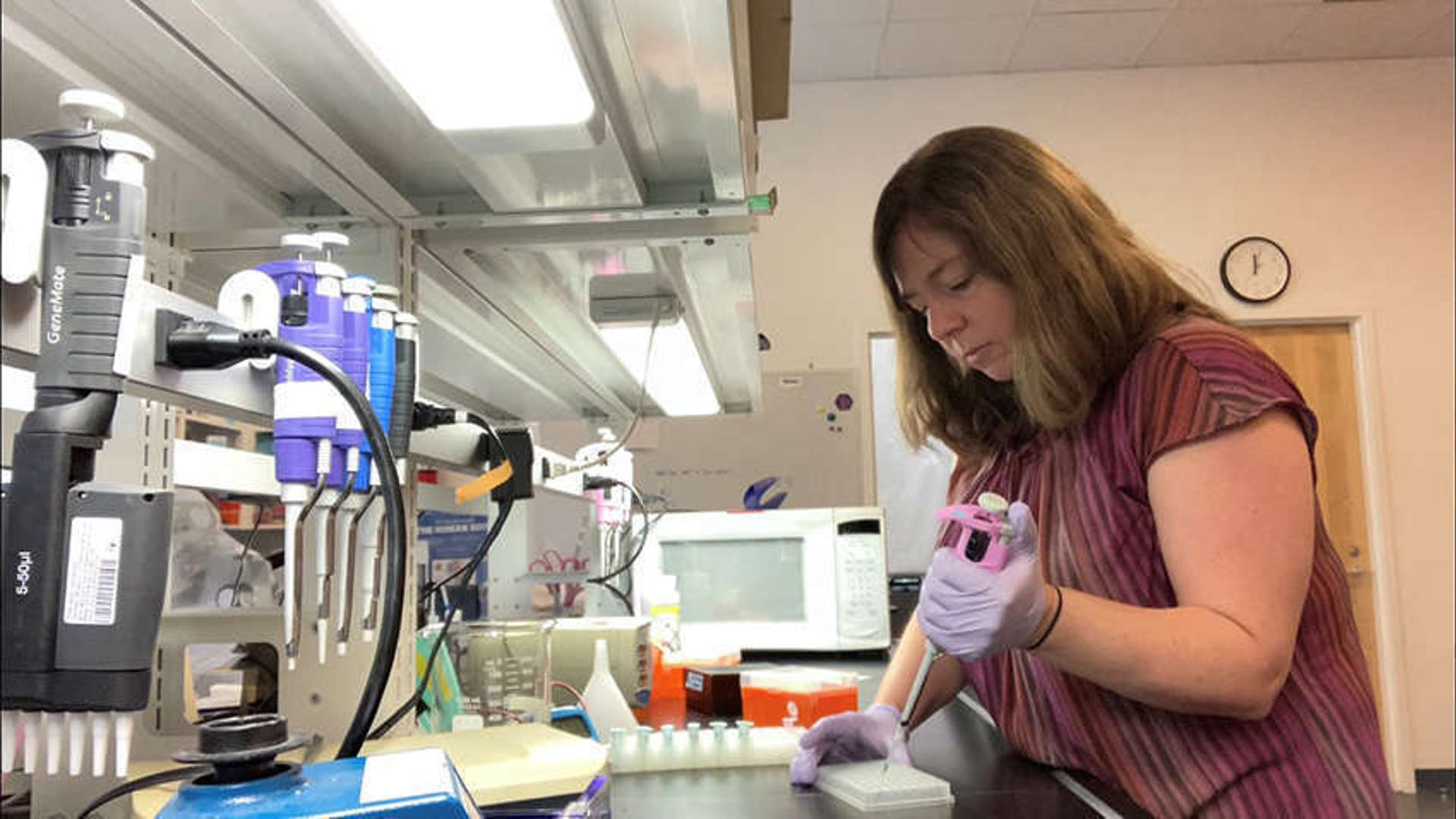Tiffany Pipetting Into 96 Well Plate Copy