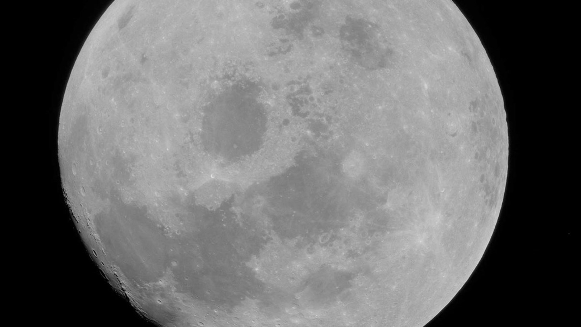 002 Flyingfish Apollo Exhibitionbackdrop 6 Proof Edit