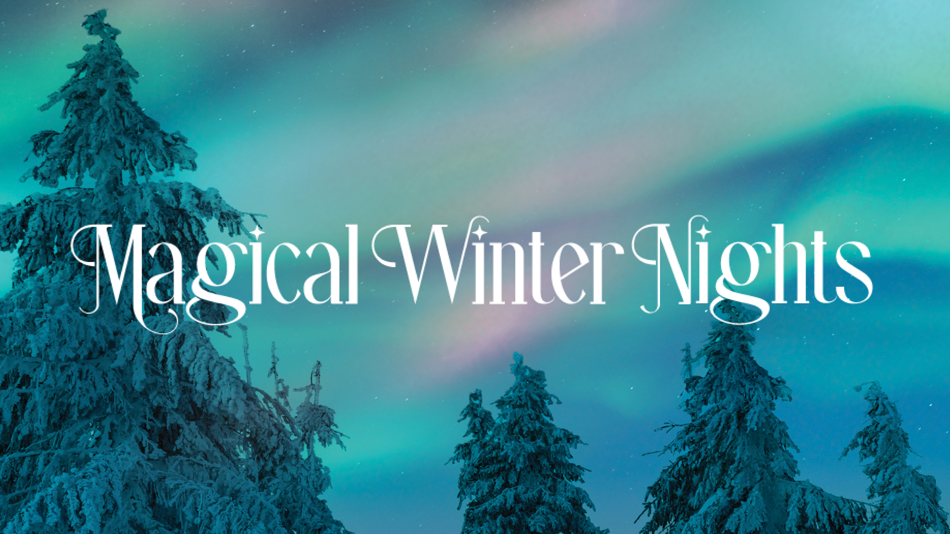 Magical Winter Nights