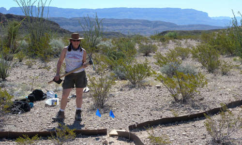 Dr. Paula Cushing standing in a Texas desert holding a pick axe with various collecting equipment at her feet.