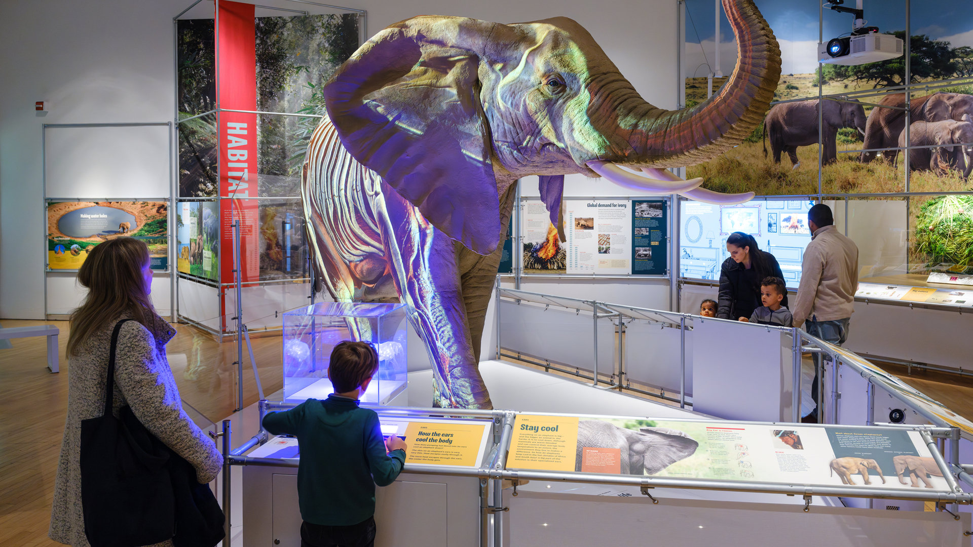 5C. African Elephant AK 231102 0496 1900X1425 12Ff561