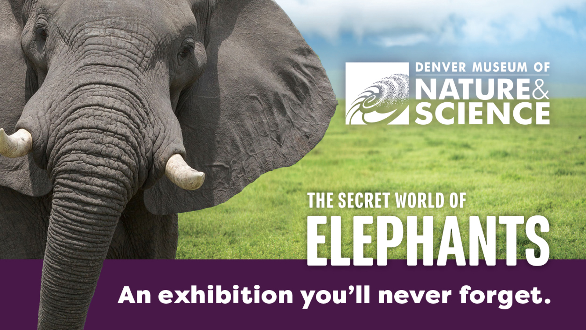 Image of student and sea turtle collection