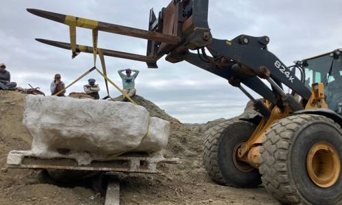 Repositioning the fossil jacket with a front loader in North Dakota.