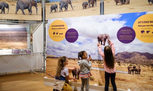 Kids inside exhibition