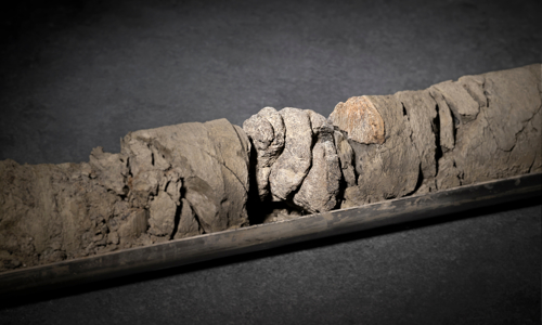 Partial dinosaur bone recovered from the scientific core — drilled 763 feet below the surface of the Museum’s parking lot. The specimen is housed at the Denver Museum of Nature & Science, courtesy of History Colorado, Office of the State Archaeologist.