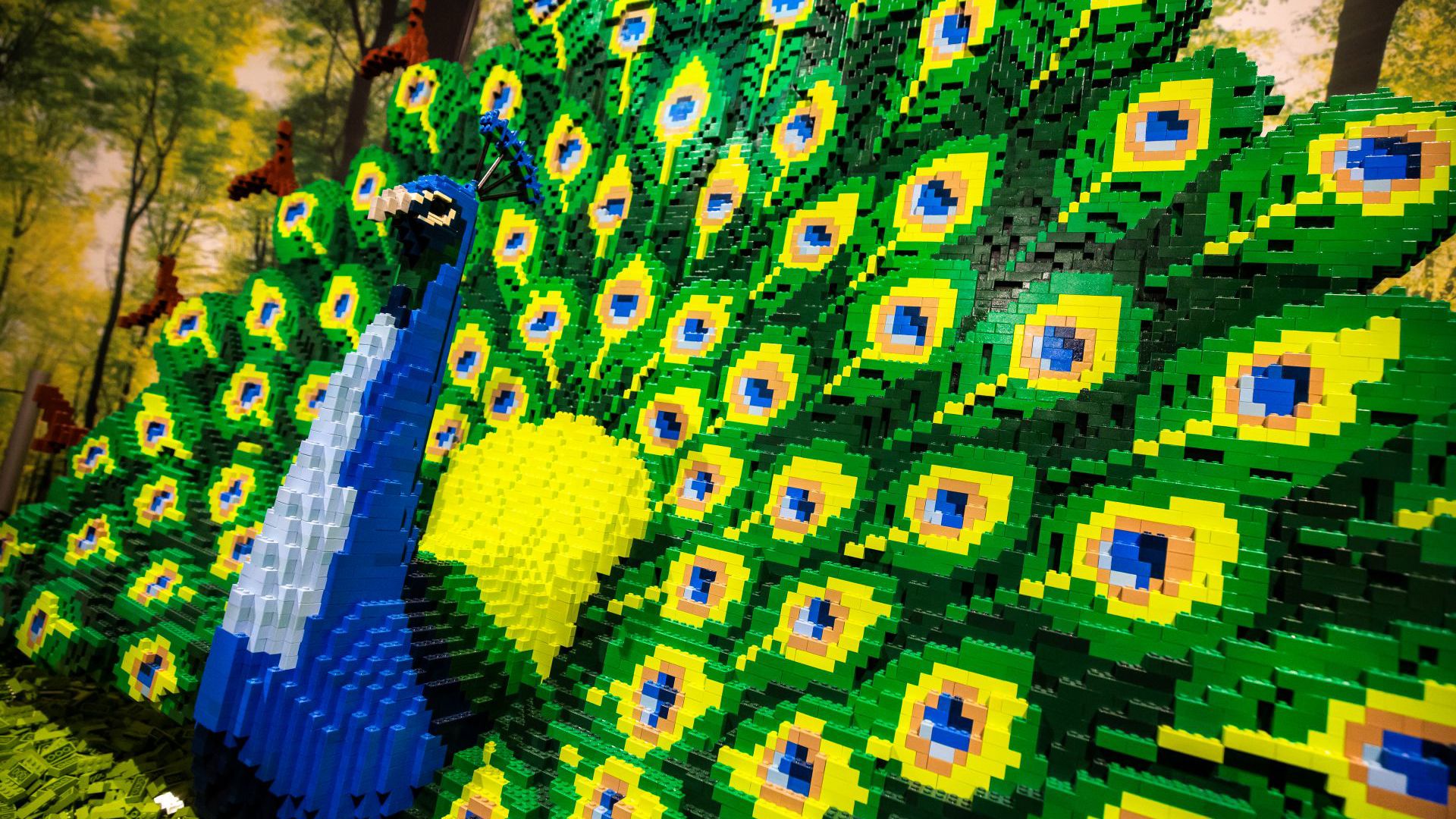 20250604 Brick World 0008 FINAL Edit