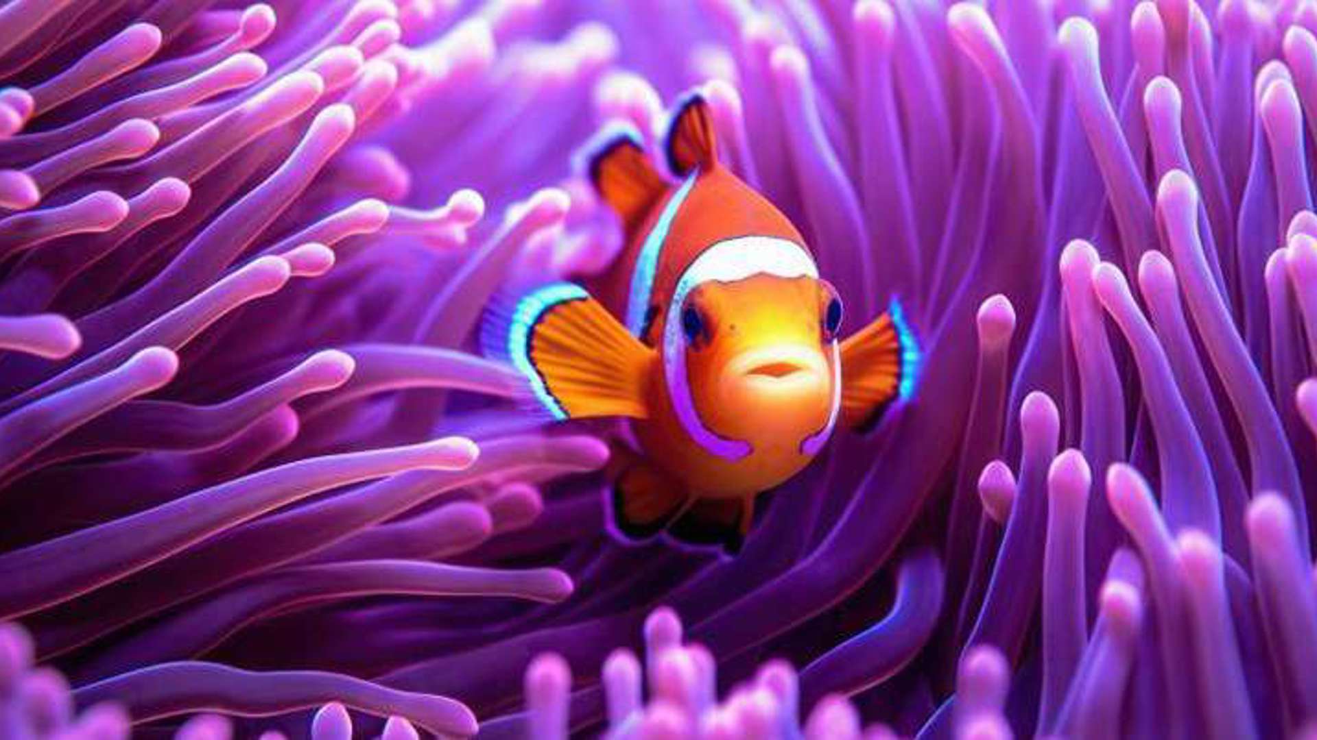 Adobestock 613637738