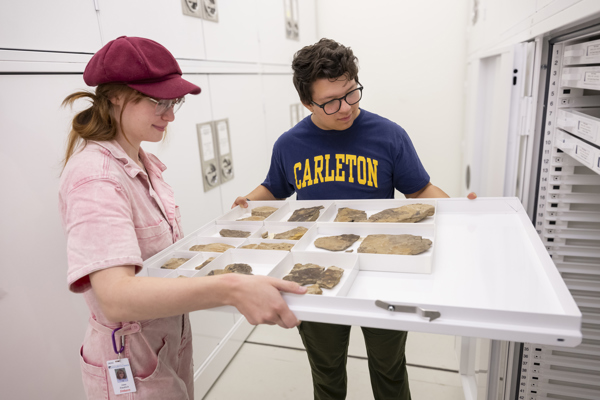 Intern in Collections