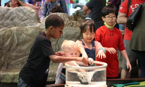 AX7A2291 601X337 Ccbc281