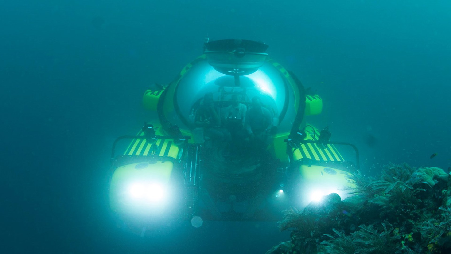 2014 Raja Ampat 1021