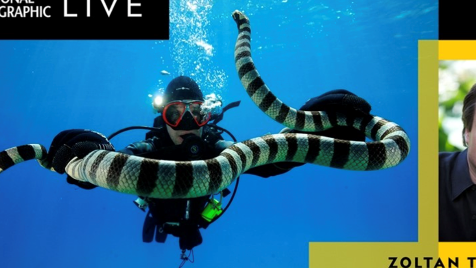 Screenshot 2023 04 18 At 111824 Am