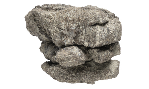 A partial fossilized dinosaur vertebra