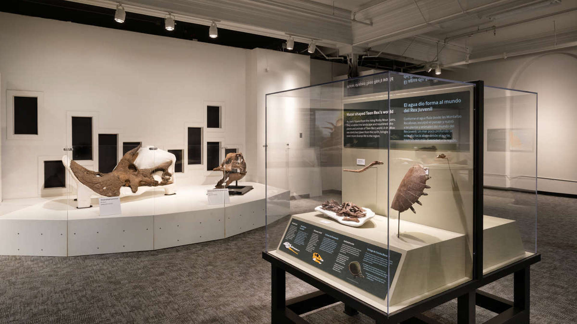 EAS2023 4 044 1200X774 1E97508 (1)