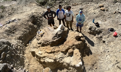 1.Block Before Plaster