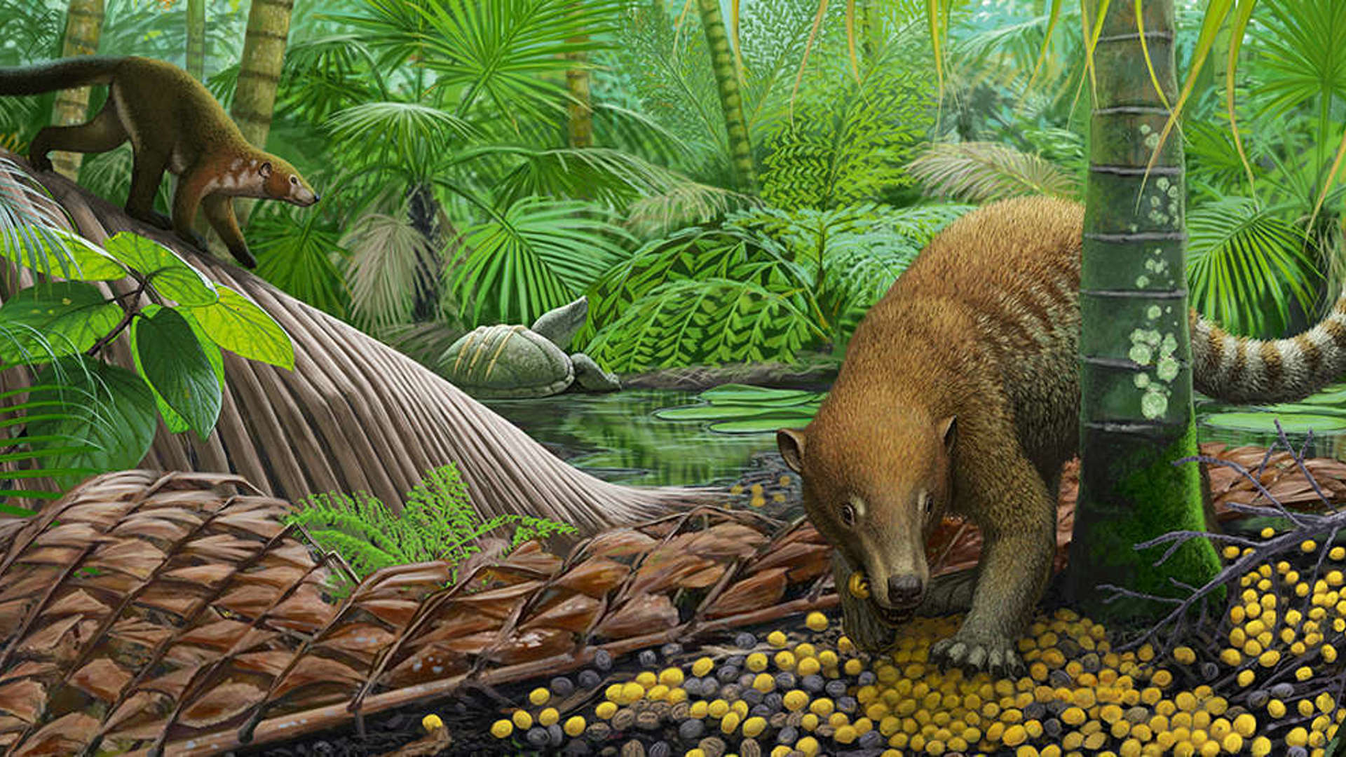 Colorful drawing of an ancient palm forest with a couple of small mammals and reptiles in the foreground