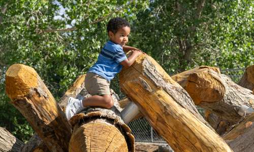 Boy playing at Nature Play