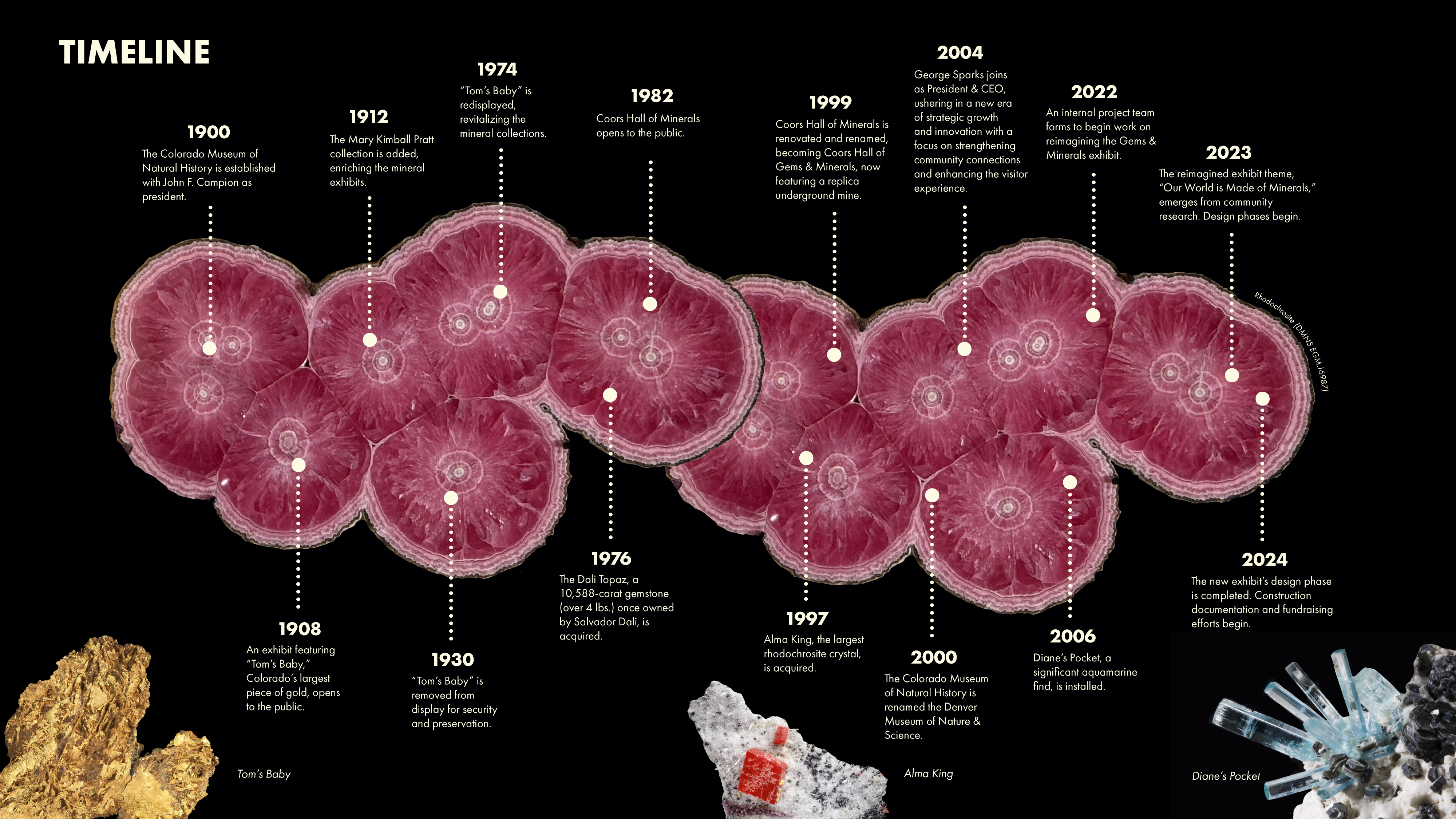 GM Timeline Graphic Website
