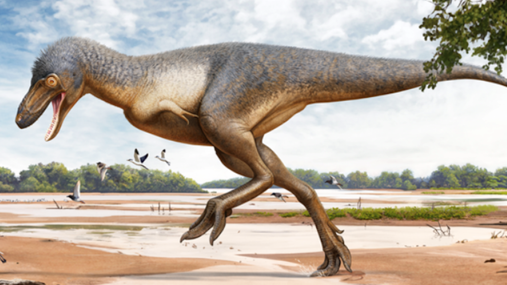 Screenshot 2024 05 24 At 111724 Pm