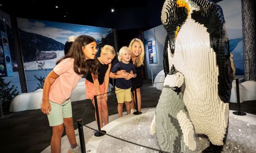 Guests looking at exhibit