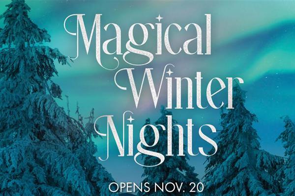 Magical Winter Nights graphic