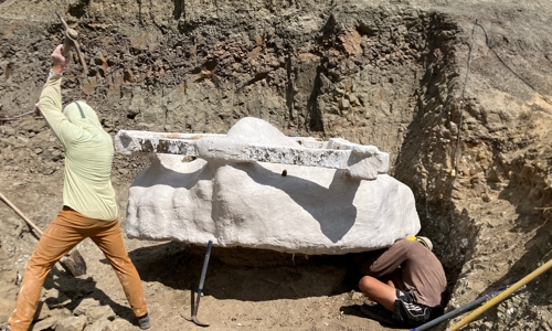 Salvador Bastien, a fossil preparator and an excavation crew leader, pick axing at the dig site in North Dakota.