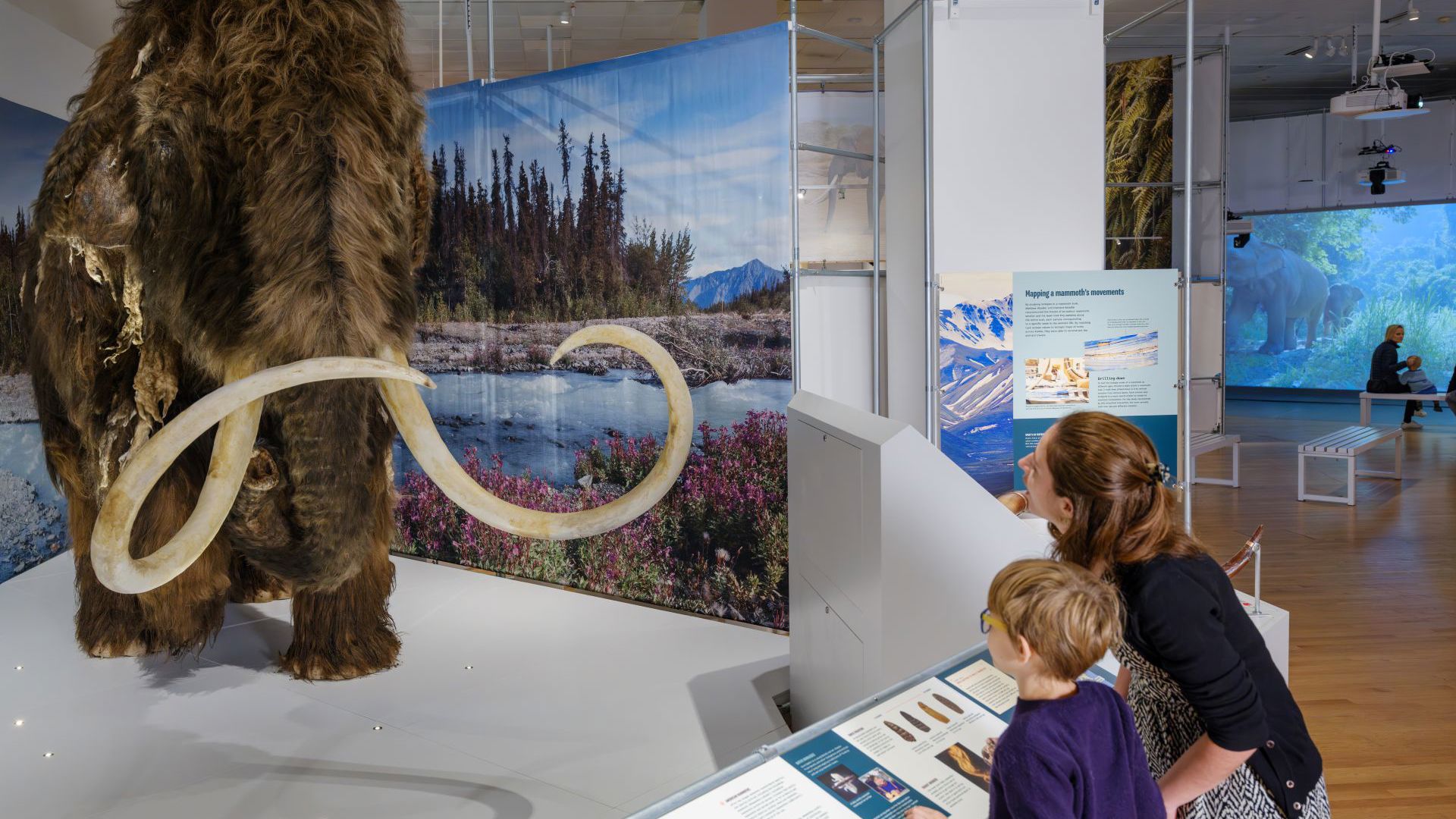 2B. Woolly Mammoth AK 231102 0451 Edit