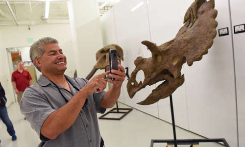 Man takes a picture of a fossil