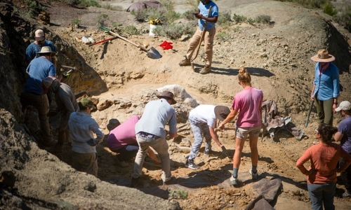 Picture6 1201X799 779F864