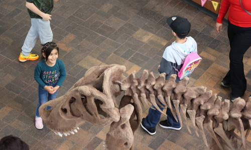 AX7A2223 601X337 Ccbc281