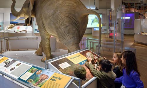 Children inside exhibition