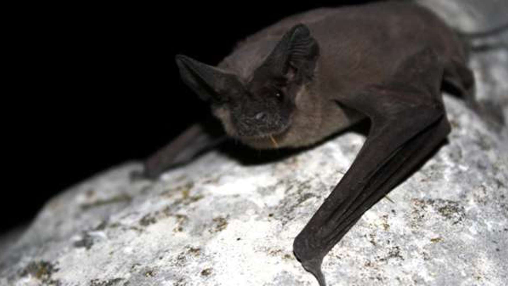 Screen Shot 2022 10 17 At 14425 Pm