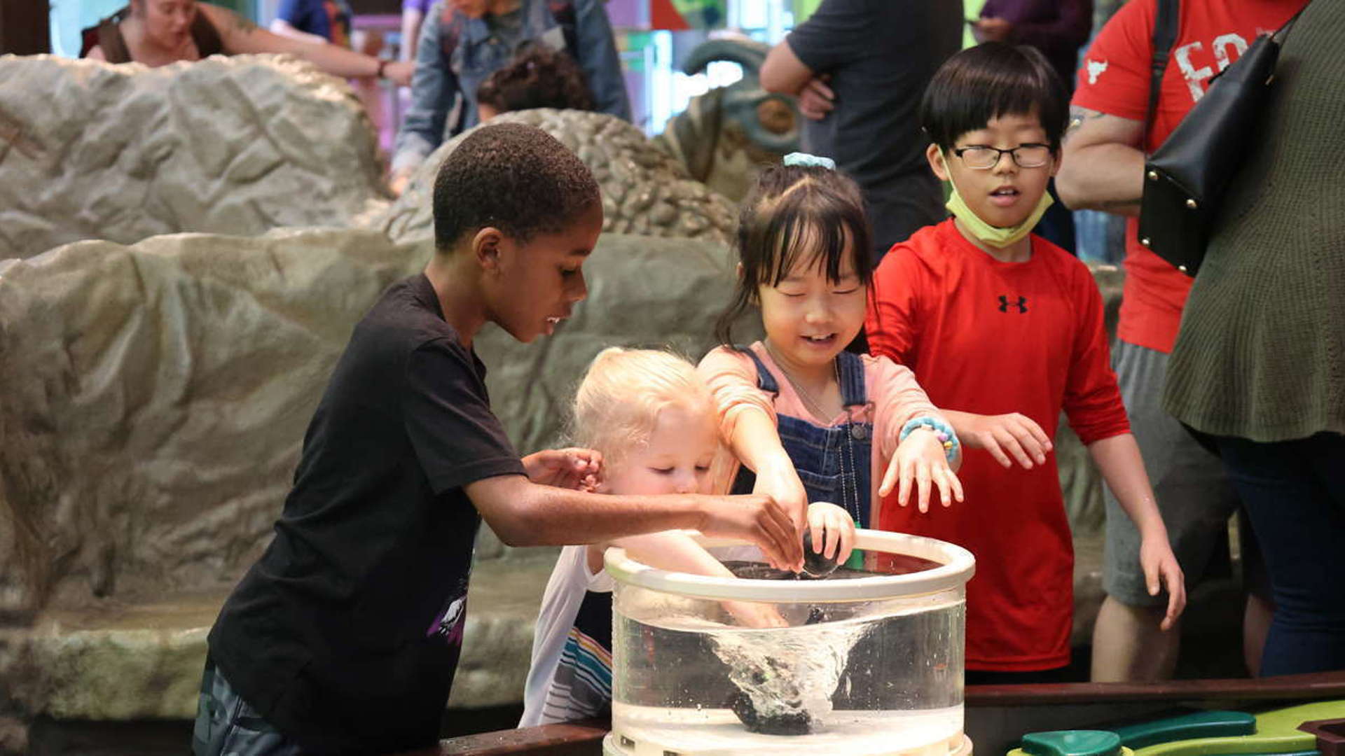 Discovery Zone 1201X674