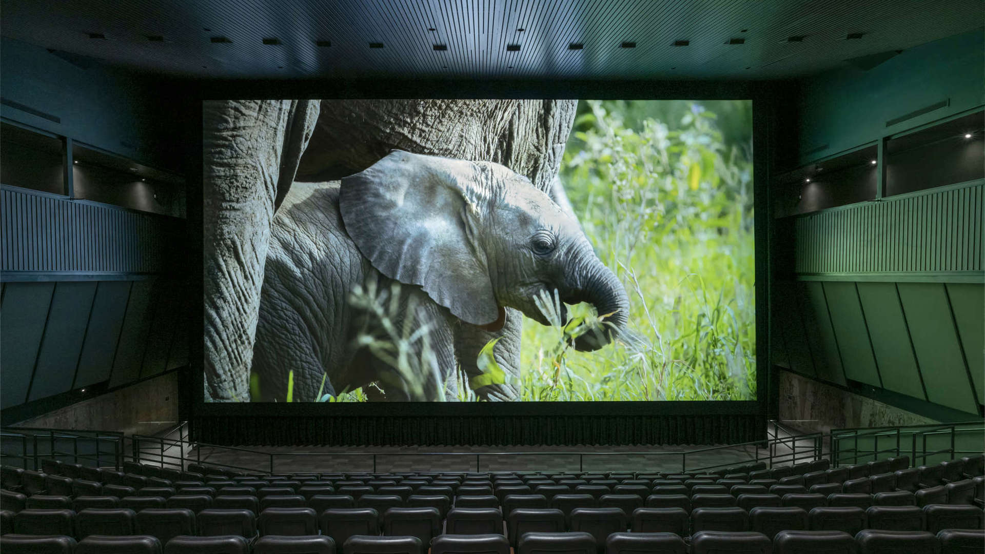 Infinitytheater F 1909X1272 67Ea1ec