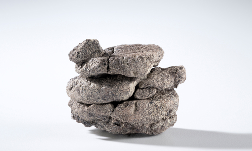 EAS2025 2 025 (1) 1920X1280 F45f32d