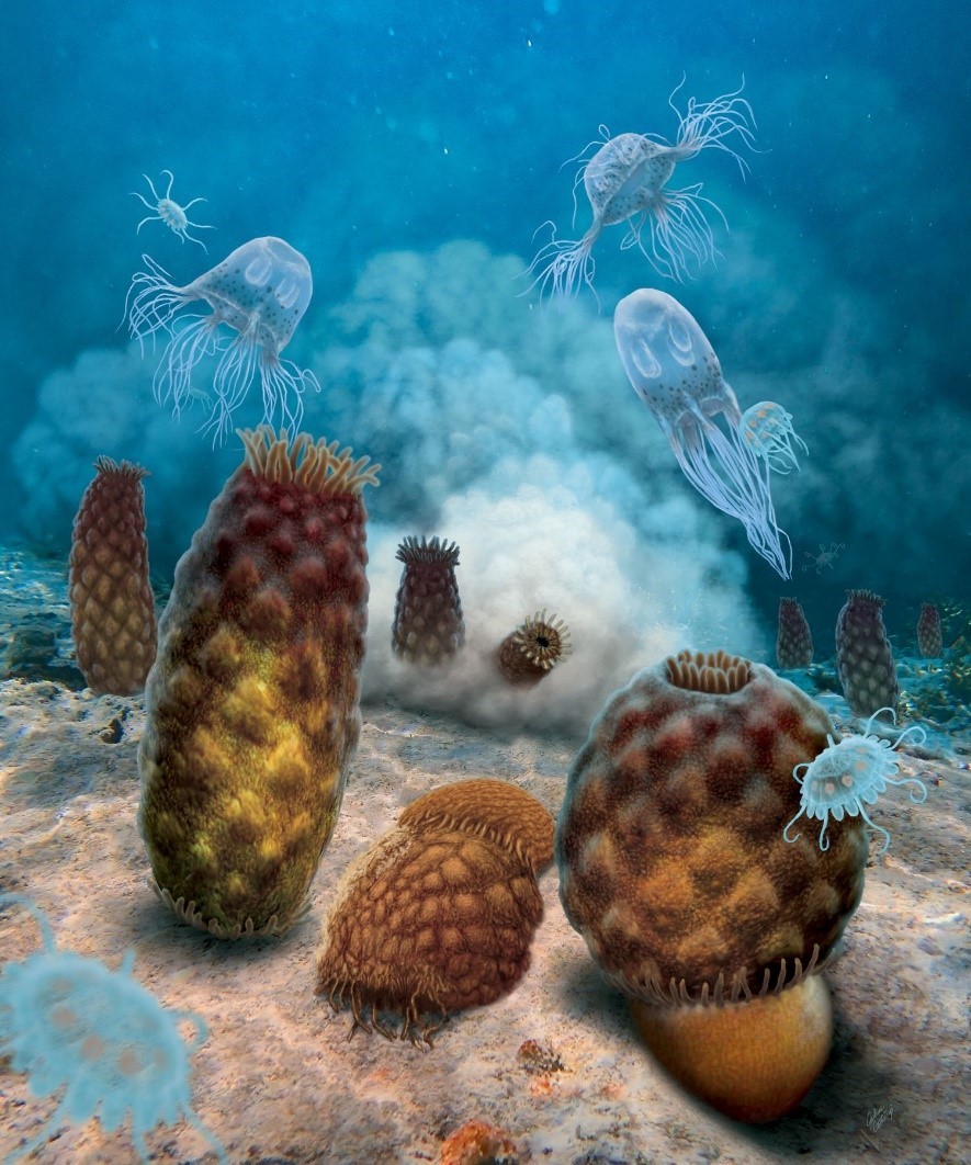 A cluster of sea anemone on the sea floor. Artwork by Julius Csotonyi.